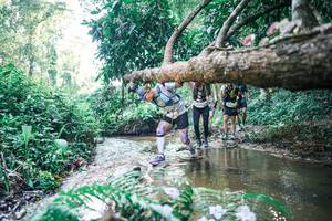 BIB: 
                            <button type="button" onclick="openModal(25445277)" class="btn btn-primary btn-sm float-right btn-popup" data-toggle="modal" data-target=".modal-high-quality">
                        <i class="fas fa-shopping-cart"></i> Add to Cart
                    </button>
                                            <button type="button" onclick="isThisMe(25445277, true)" class="btn btn-success btn-sm float-right btn-popup btn-isme hidden" data-toggle="tooltip" data-placement="bottom" title="นี่คือรูปของคุณใช่ไหม คลิกที่นี่เพื่อเอาเข้าอัลบั้ม">
                        <i class="fas fa-plus"></i> Add to album
                    </button>
                    <button type="button" onclick="isThisMe(25445277, false)" class="btn btn-warning btn-sm float-right btn-popup btn-isnotme hidden">
                        <i class="fas fa-ban"></i> Remove from album
                    </button>